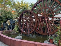 -品德宏·孔雀宴的发源地(金塔园店)