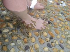 -融汇温泉