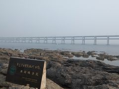 -星海湾跨海大桥