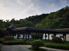 -镇江市南山风景名胜区竹林景区