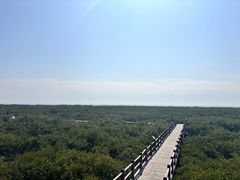 -北海金海湾红树林生态旅游区