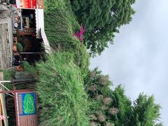 -南诏风情岛