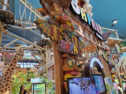 -卡通尼·Safari非洲探索乐园·生日会(金桥国际商业广场店)