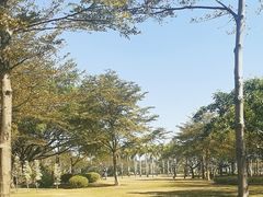 -白鹭洲公园