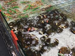 -渔傅·蓝海岸霞浦海鲜(正祥店)