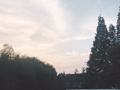 -百盛烧烤龙虾小酒馆(文富北路店)