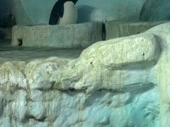 -珠海长隆海洋王国