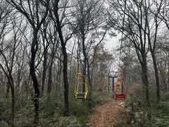 -WeLope紫金山探险公园