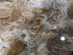 -山海经·海边人家 海鲜新青岛菜(扬州路店)