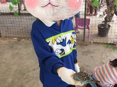 -麻涌飞鸭开心农场
