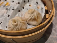 -莱莱小笼·乔艾