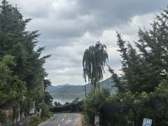 -河口景区