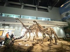 -自贡恐龙博物馆