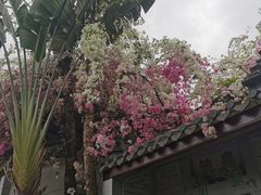 -深圳国际园林花卉博览园