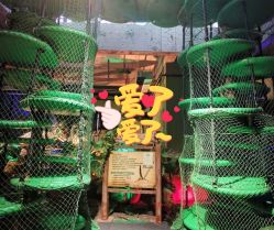 -恐龙探索乐园(磁器口店)