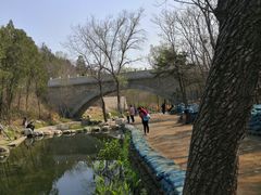 -白水寺森林公园