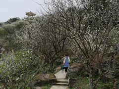 -广州市流溪河国家森林公园