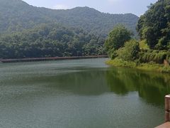 -桃花岭景区