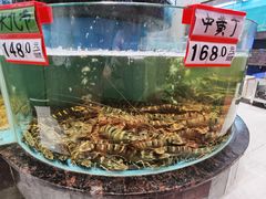 -万禧明珠大酒楼(海丰店)