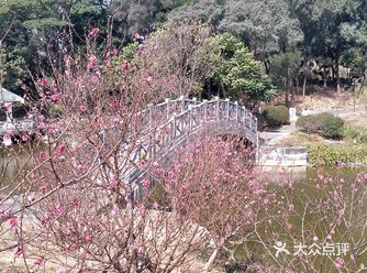 #春季赏花好去处#石马深处有桃花 ，如约而至春光好。
