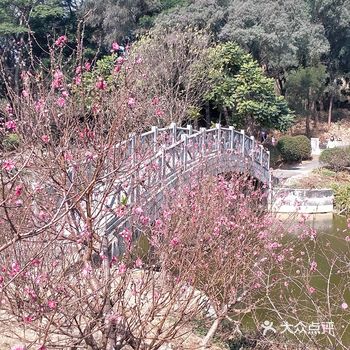 #春季赏花好去处#石马深处有桃花 ,如约而至春光好。