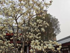 -大雁塔北广场音乐喷泉