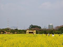-长洲岛