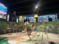 -国家自然博物馆