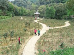 -广州市石门国家森林公园