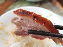 -椿记烧鹅(叠彩店)
