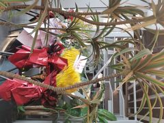 -湊湊火锅·茶憩(皇姑万象汇店)