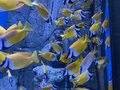 -成都浩海立方海洋公园