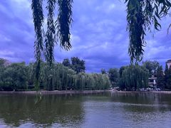 -团结湖公园