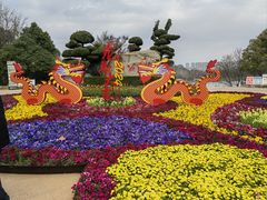 -洛龙公园