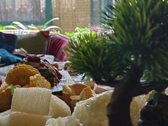 -慢丽江·云南野生菌土鸡锅(付家庄店)
