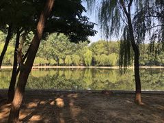 -廊坊市自然公园