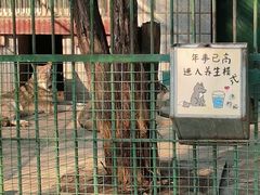 -保定市动物园