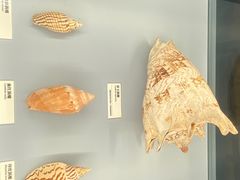 -天津古林古海岸遗迹博物馆