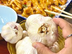 -后卫寨猫耳朵(后卫寨店)