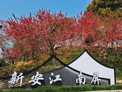 -新安江山水画廊风景区