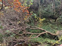 -水磨沟环境自然保护区