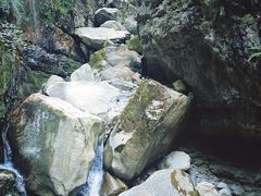 -鹿院坪生态旅游景区