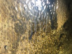 -辛玛王国游乐园