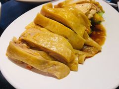 -Asianplus海蓝鸡饭