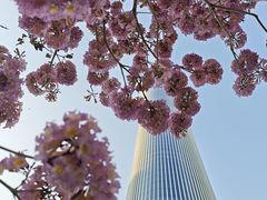 -深圳湾万象城(南山店)