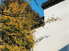-南京市民俗博物馆(甘熙故居)