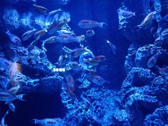 -成都浩海立方海洋公园