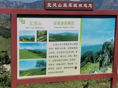 -灵山