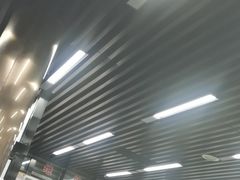 -回坊马二饺子馆