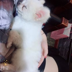 -BM SALON